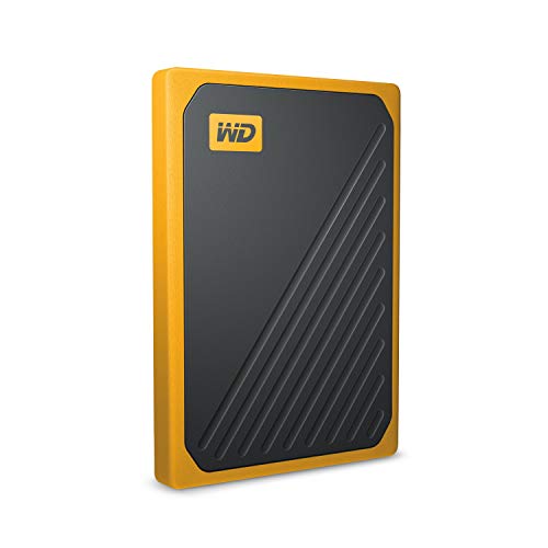 My Passport Go SSD