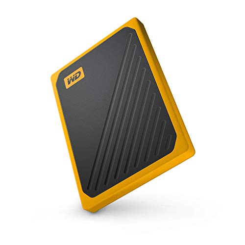 My Passport Go SSD