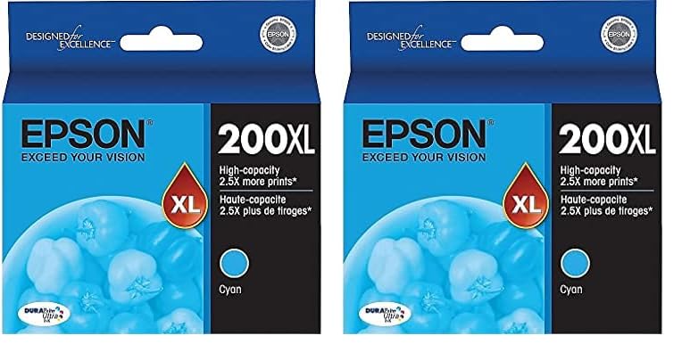 Epson T200 DURABrite Ultra -Ink High Capacity Cyan -Cartridge (T200XL220-S) for Select Expression and Workforce Printers, Large (Pack of 2)