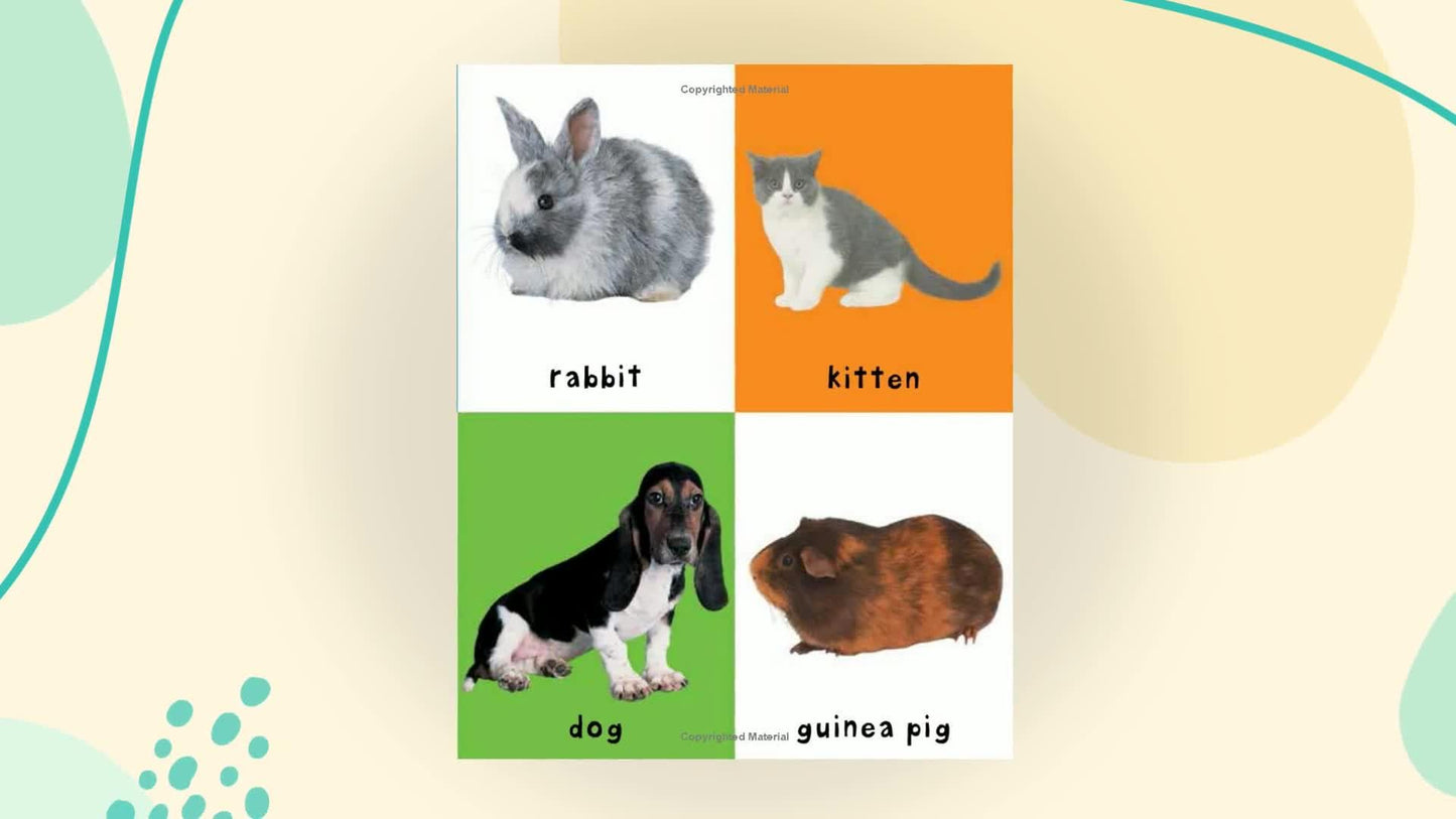 First 100 Animals