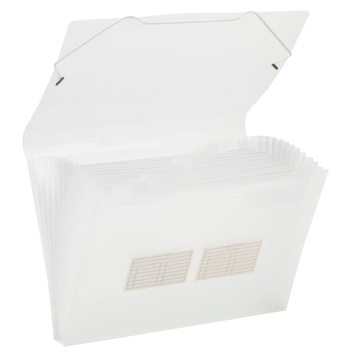 Office Depot� Brand Plastic File, 13 Pocket, Expansion 3-1/2", 8 1/2" x 11", Letter, Clear, Pack of 1