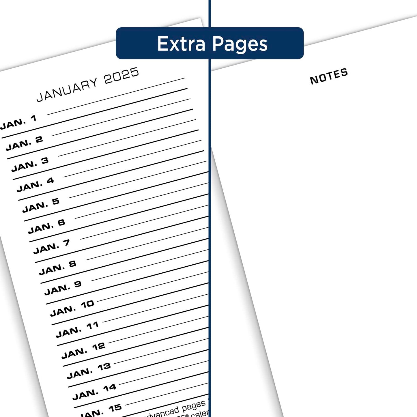 AT-A-GLANCE 2024 Daily Desk Calendar Refill, 3-1/2" x 6", Standard, Loose-Leaf (E0175024)