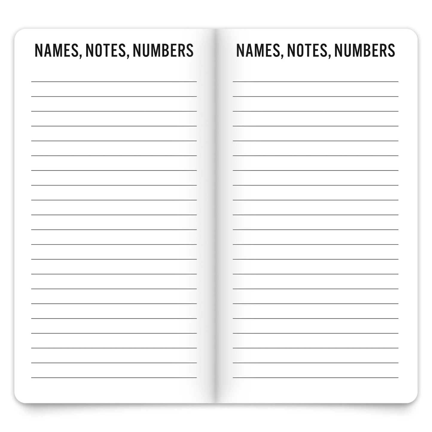 Brown Trout 2-Year Large Print Monthly Pocket Planner, 3-1/2" x 6-1/2", Big and Bright, January 2024 to December 2025