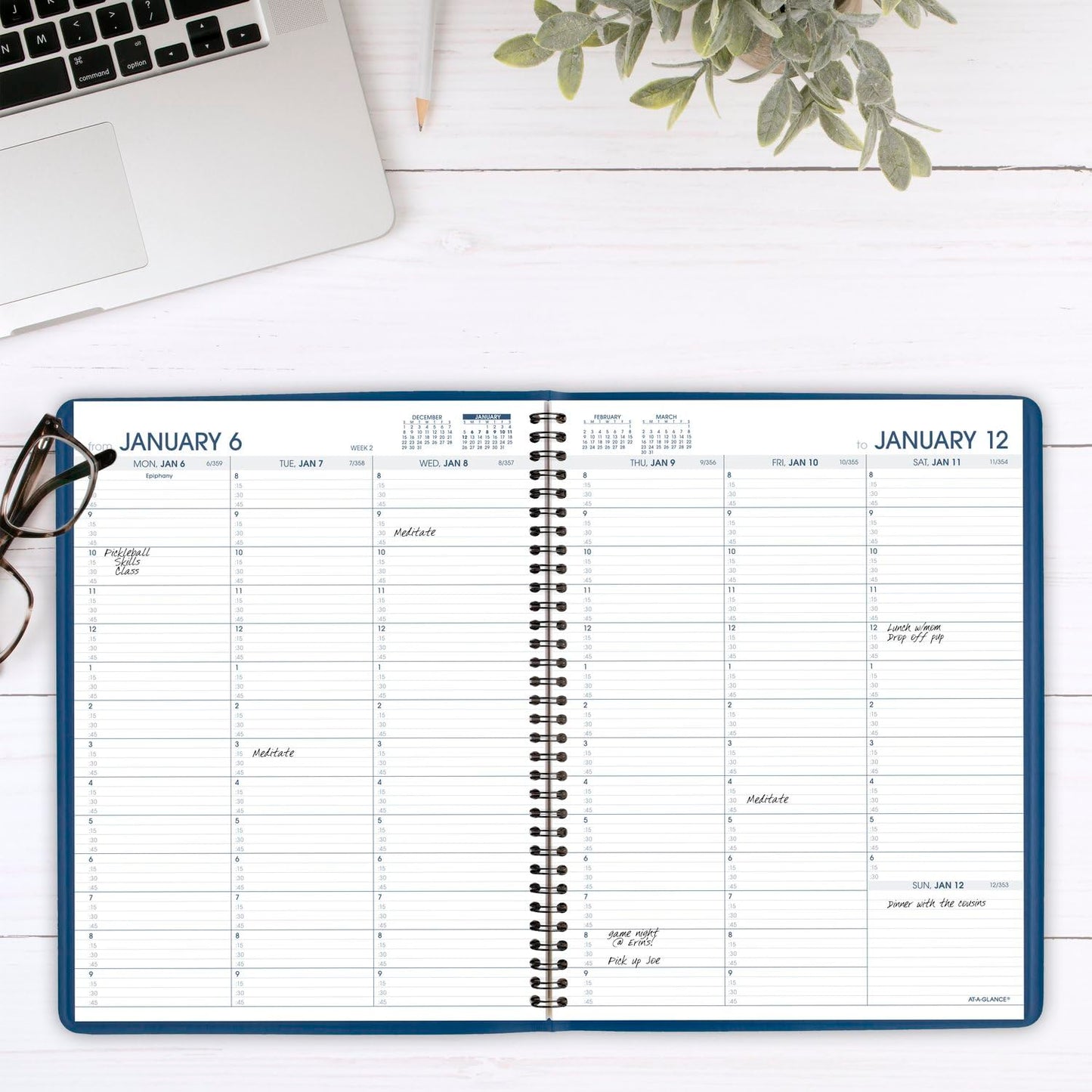 AT-A-GLANCE 2025 Appointment Book Planner, Weekly, 8-1/4" x 11", Large, Quarter-Hourly, Blue (709402025)