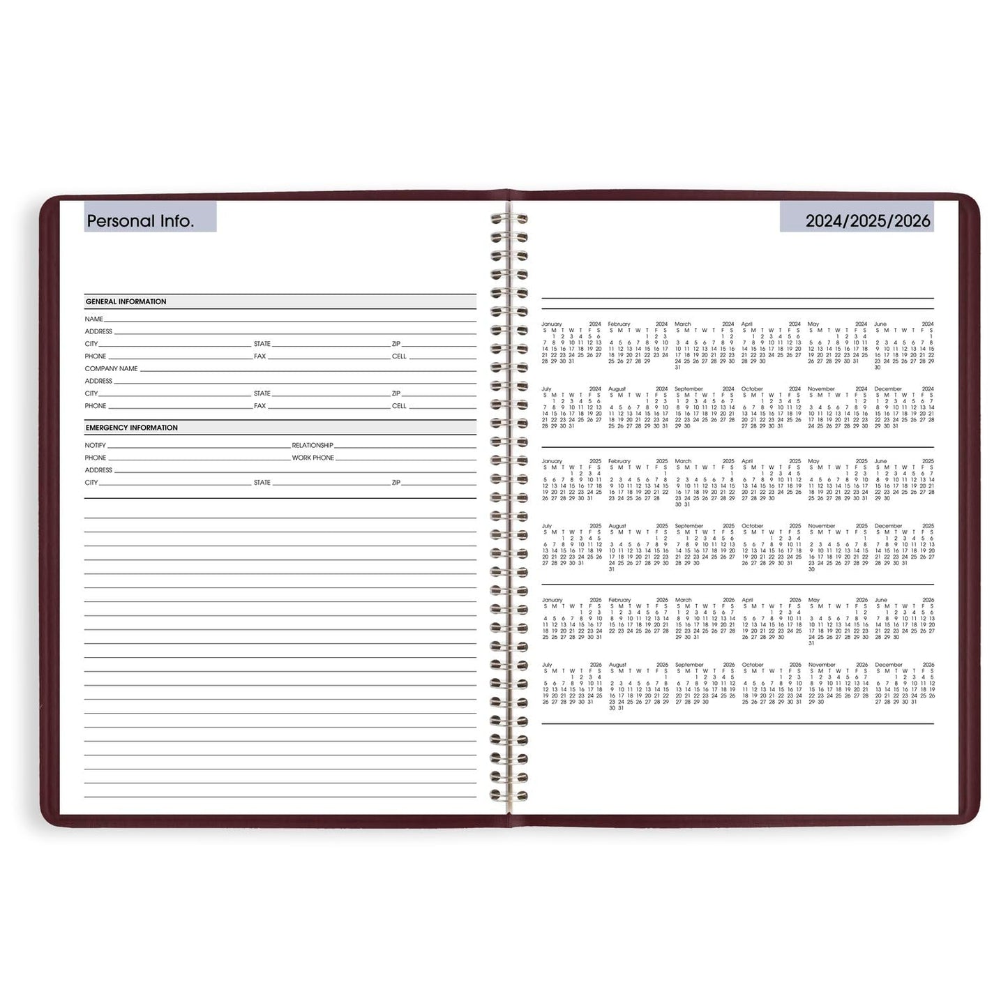 AT-A-GLANCE 2025 Appointment Book Planner, Weekly, 8" x 11", Large, Quarter-Hourly, DayMinder, Burgundy (G5201425)