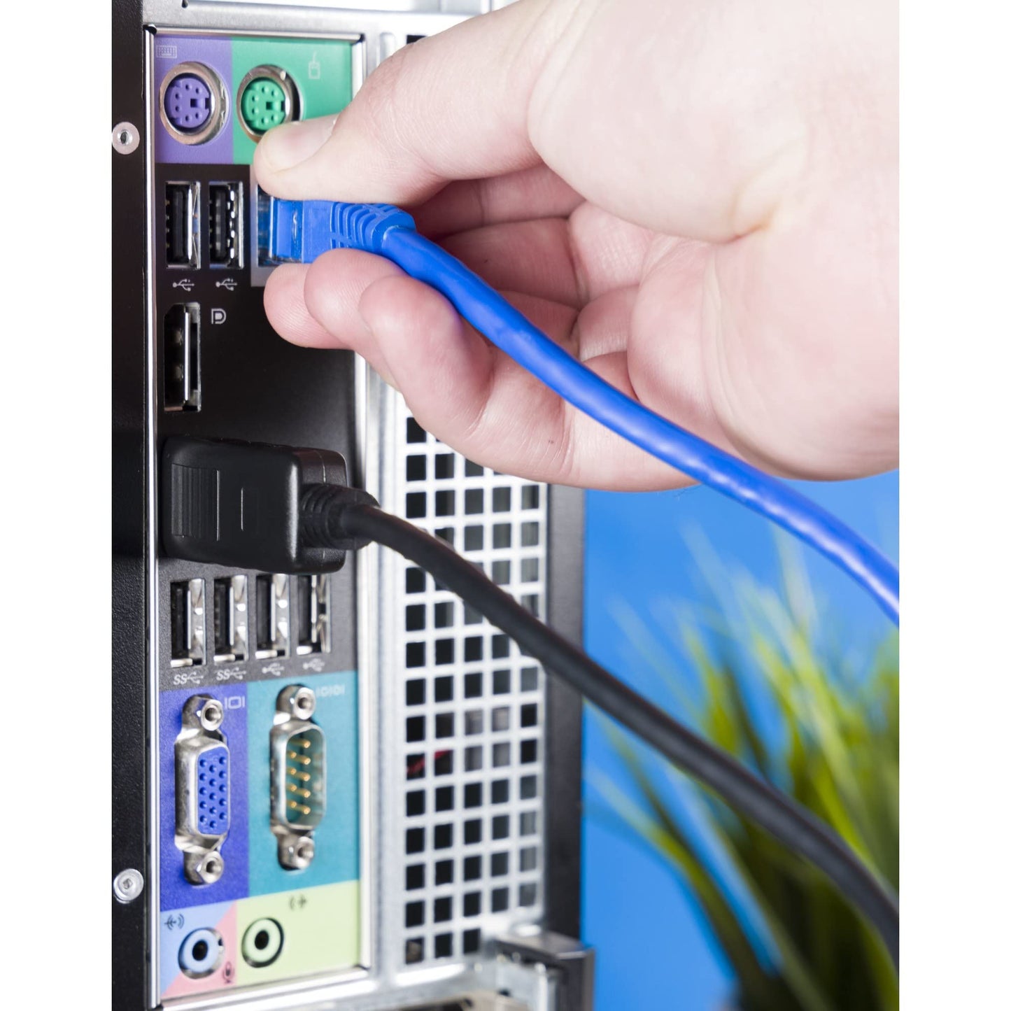 Ativa® Cat 6 Network Cable, 100', Blue