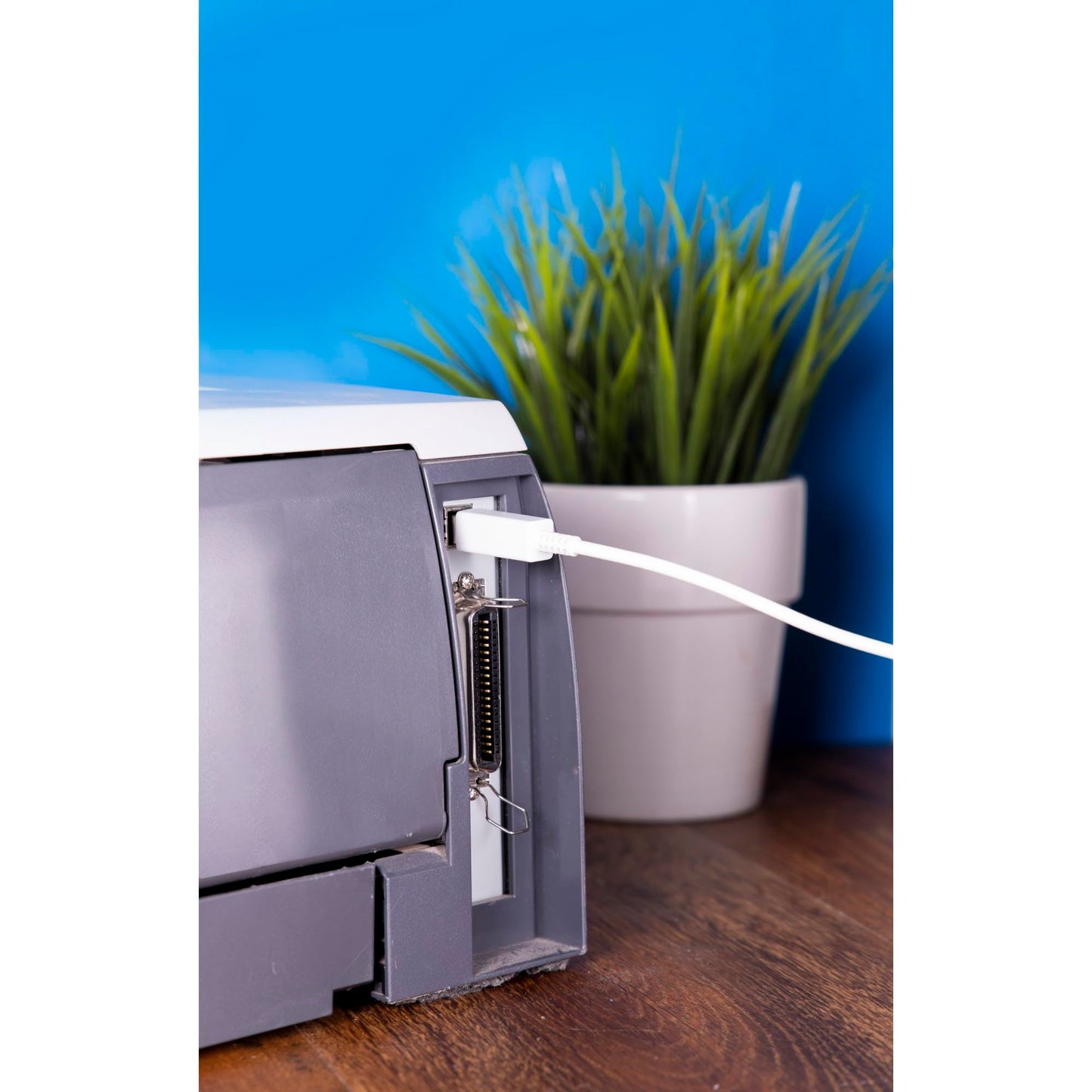 ATIVA® USB-C-to-USB-B Cable, 6.5', White, 32462