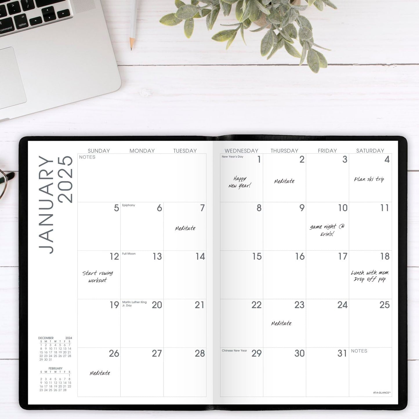 AT-A-GLANCE 2025 Planner, Monthly, 7" x 10", Large, Designer Cover, Black (704320525)