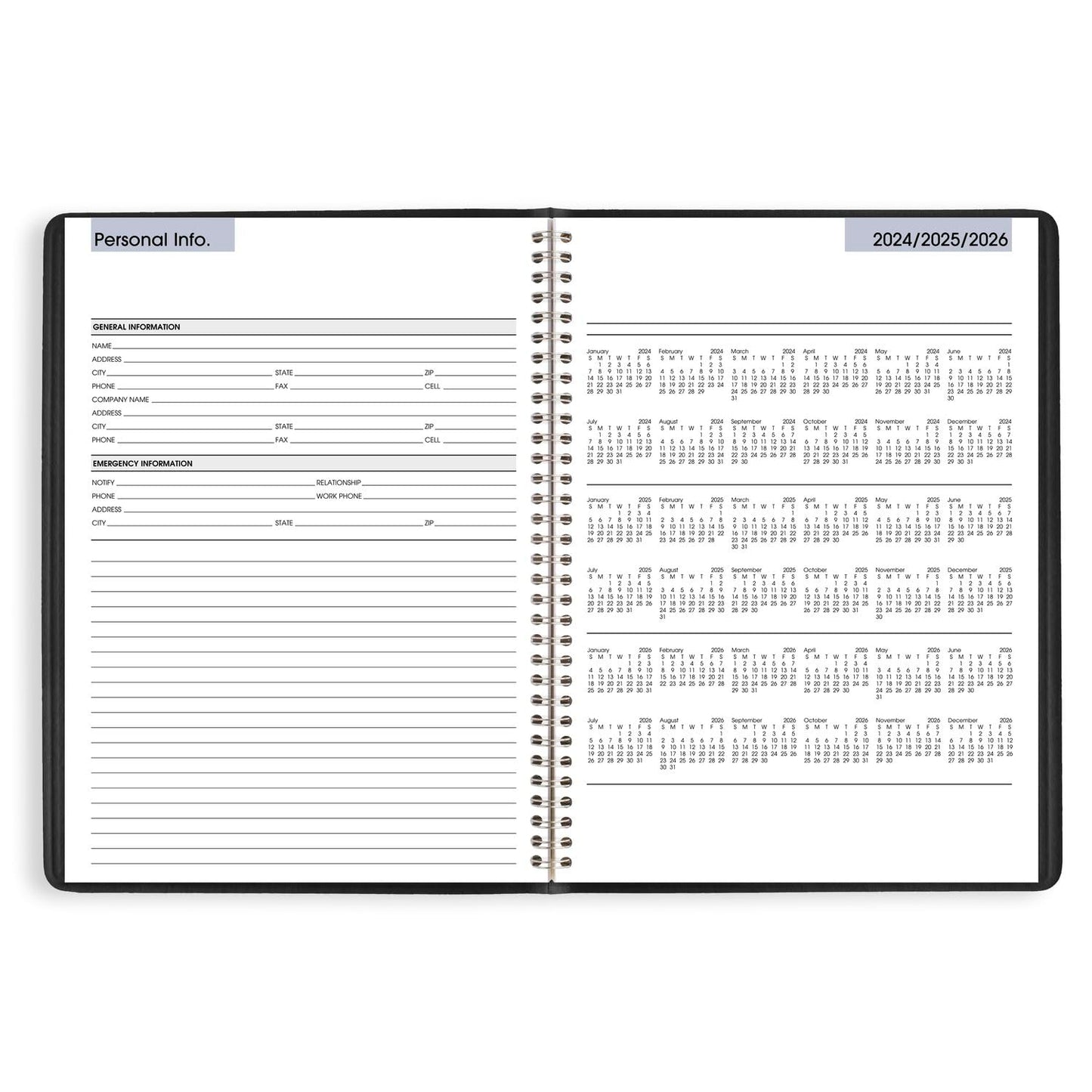 AT-A-GLANCE 2025 Appointment Book Planner, Weekly, 8" x 11", Large, Quarter-Hourly, DayMinder, Black (G5200025)