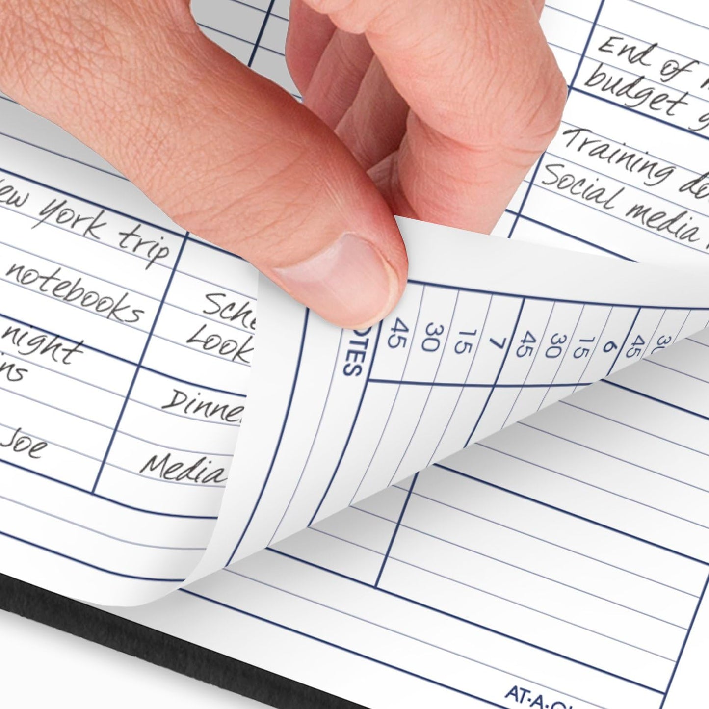 AT-A-GLANCE 2025 Appointment Book Planner, Daily, Four Person Group Planner, 8" x 11", Large, Quarter-Hourly, DayMinder, Black (G5600025)