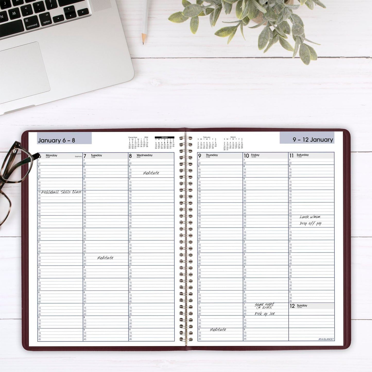 AT-A-GLANCE 2025 Appointment Book Planner, Weekly, 8" x 11", Large, Quarter-Hourly, DayMinder, Burgundy (G5201425)