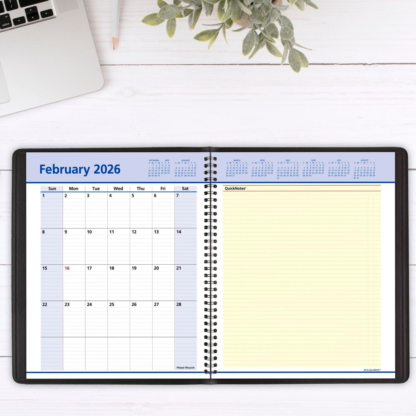 AT-A-GLANCE 2025 Planner, Weekly & Monthly, 8" x 10", Large, Open Scheduling, QuickNotes, Black (76010525)