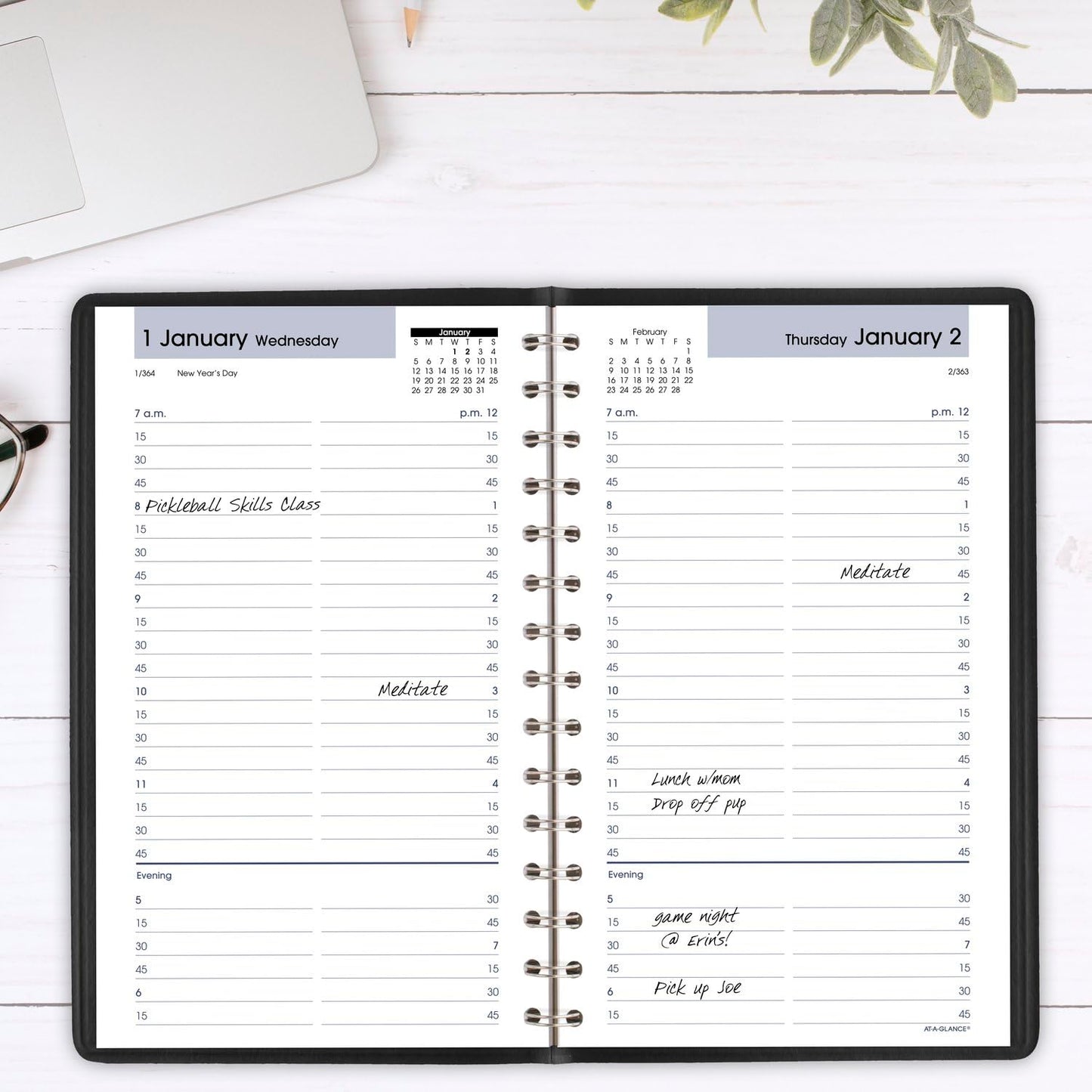 AT-A-GLANCE 2025 Appointment Book Planner, Daily, 5" x 8", Small, Quarter-Hourly, DayMinder, Black (G1000025)
