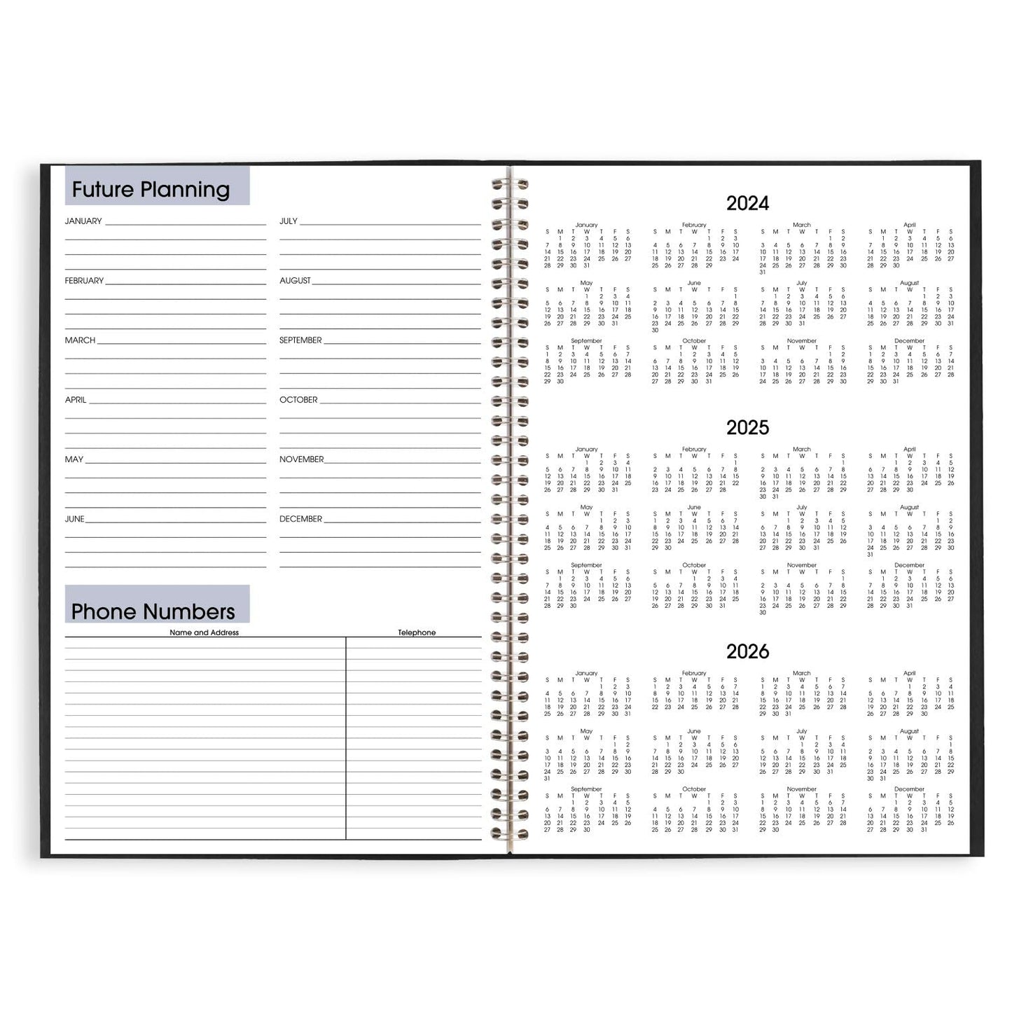 AT-A-GLANCE 2025 Planner, Monthly, 8" x 12", Large, DayMinder, Black (SK20025)