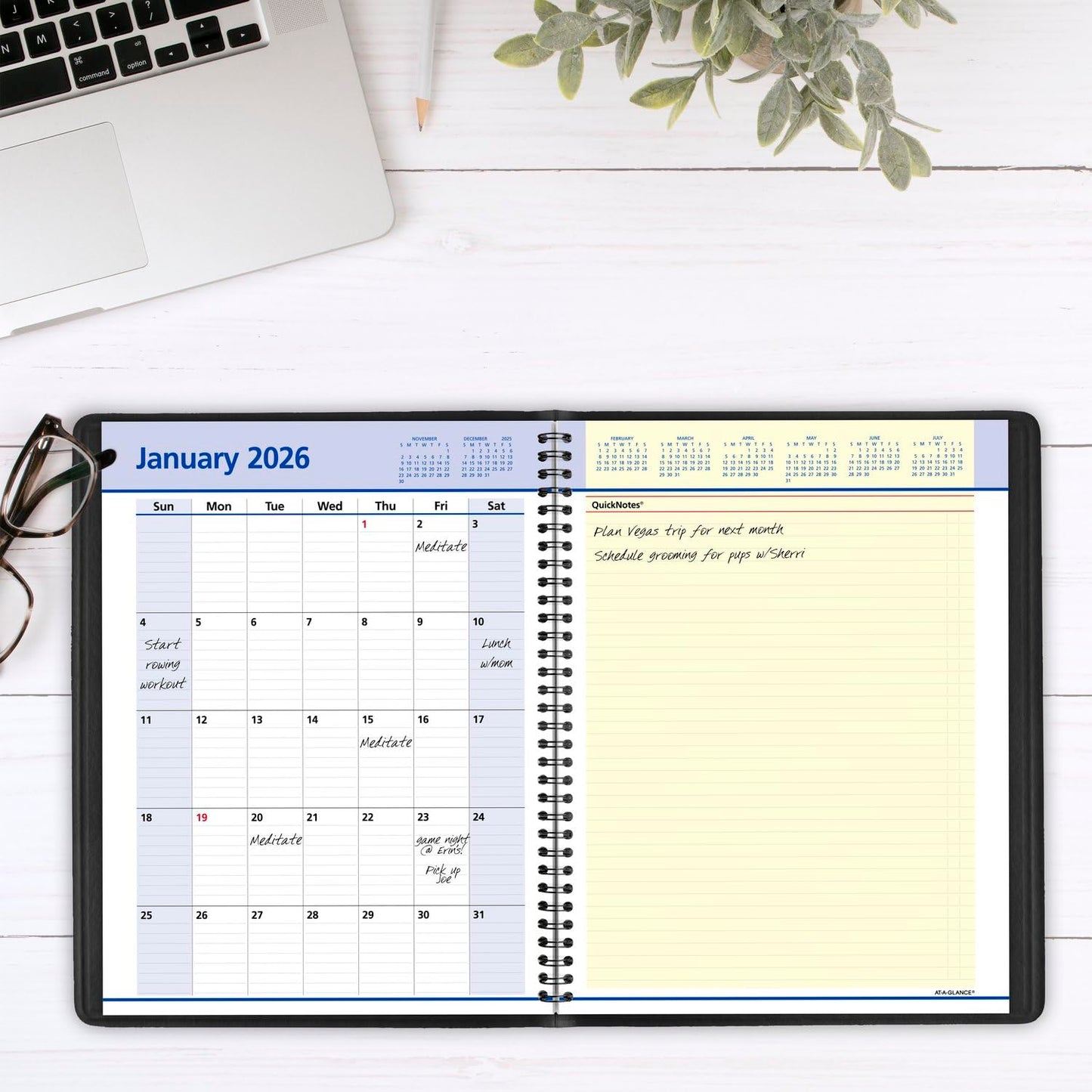 AT-A-GLANCE 2025 Appointment Book Planner, Weekly & Monthly, 8-1/4" x 11", Large, Quarter-Hourly, QuickNotes Black (769500525)