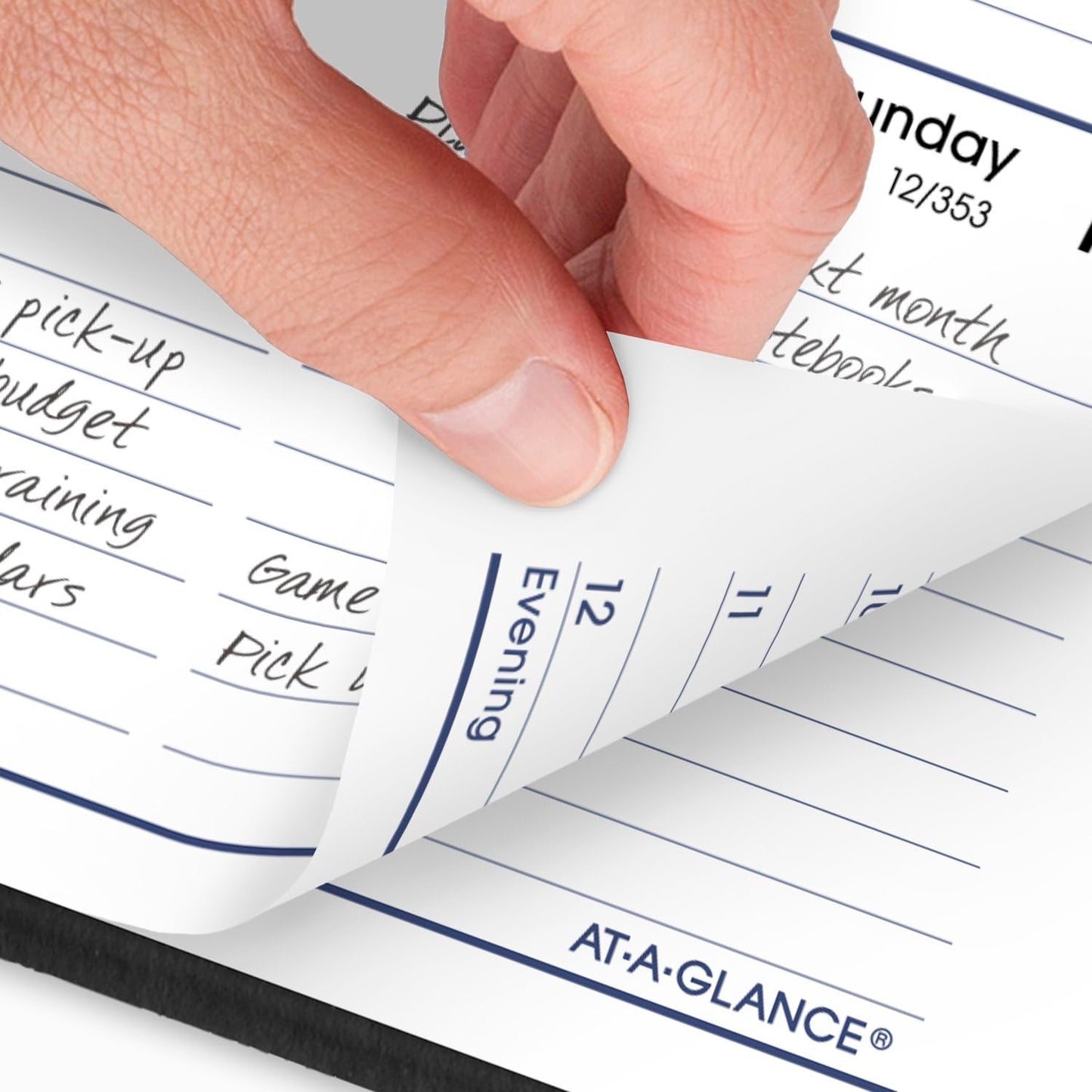 AT-A-GLANCE 2025 Appointment Book Planner, Weekly, 5" x 8", Small, DayMinder, Black (G2100025)