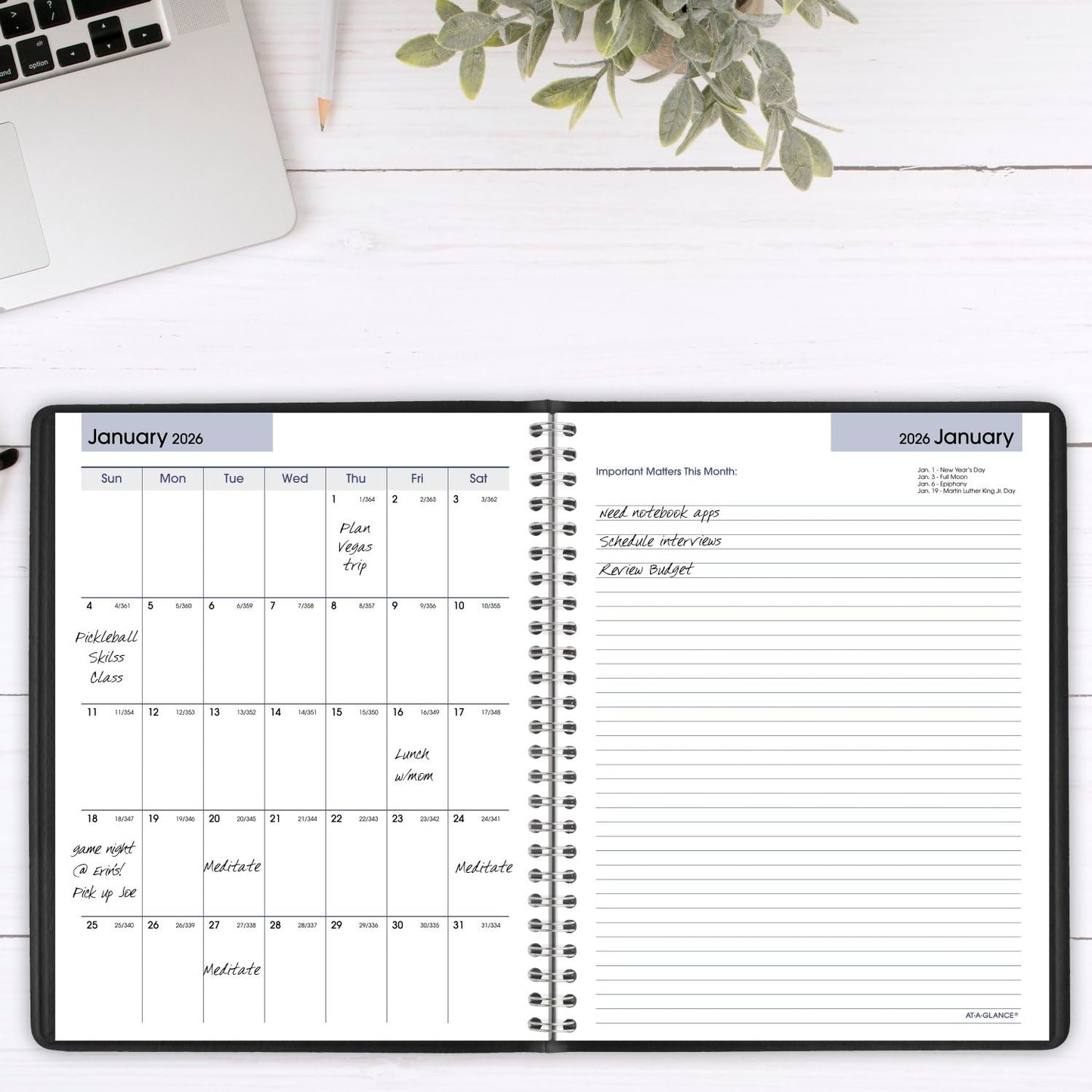 AT-A-GLANCE 2025 Planner, Weekly & Monthly, 7" x 8-3/4", Medium, Executive, DayMinder, Black (G5460025)