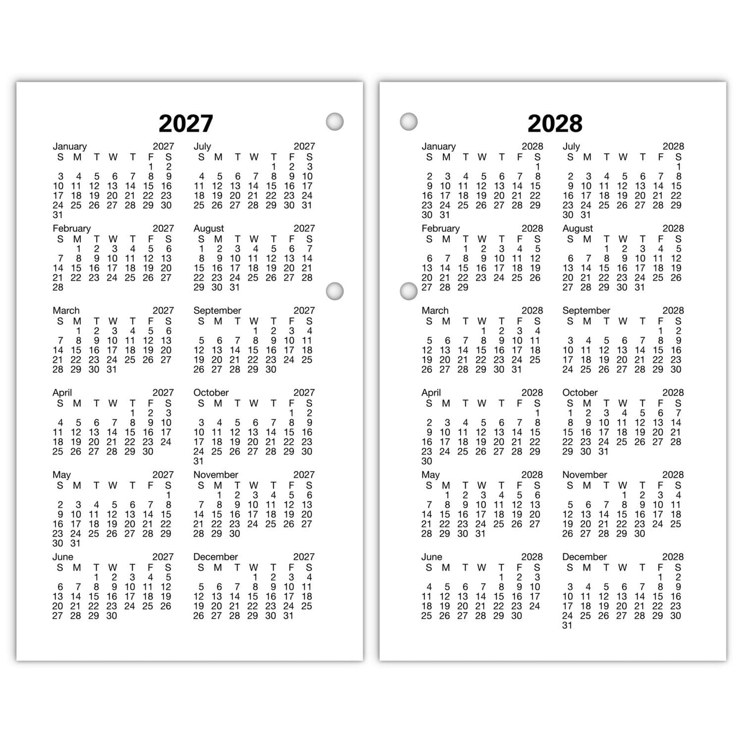 AT-A-GLANCE 2025 Desk Calendar Refill, Daily, 3-1/2" x 6", Standard, Loose-Leaf (E0175025)