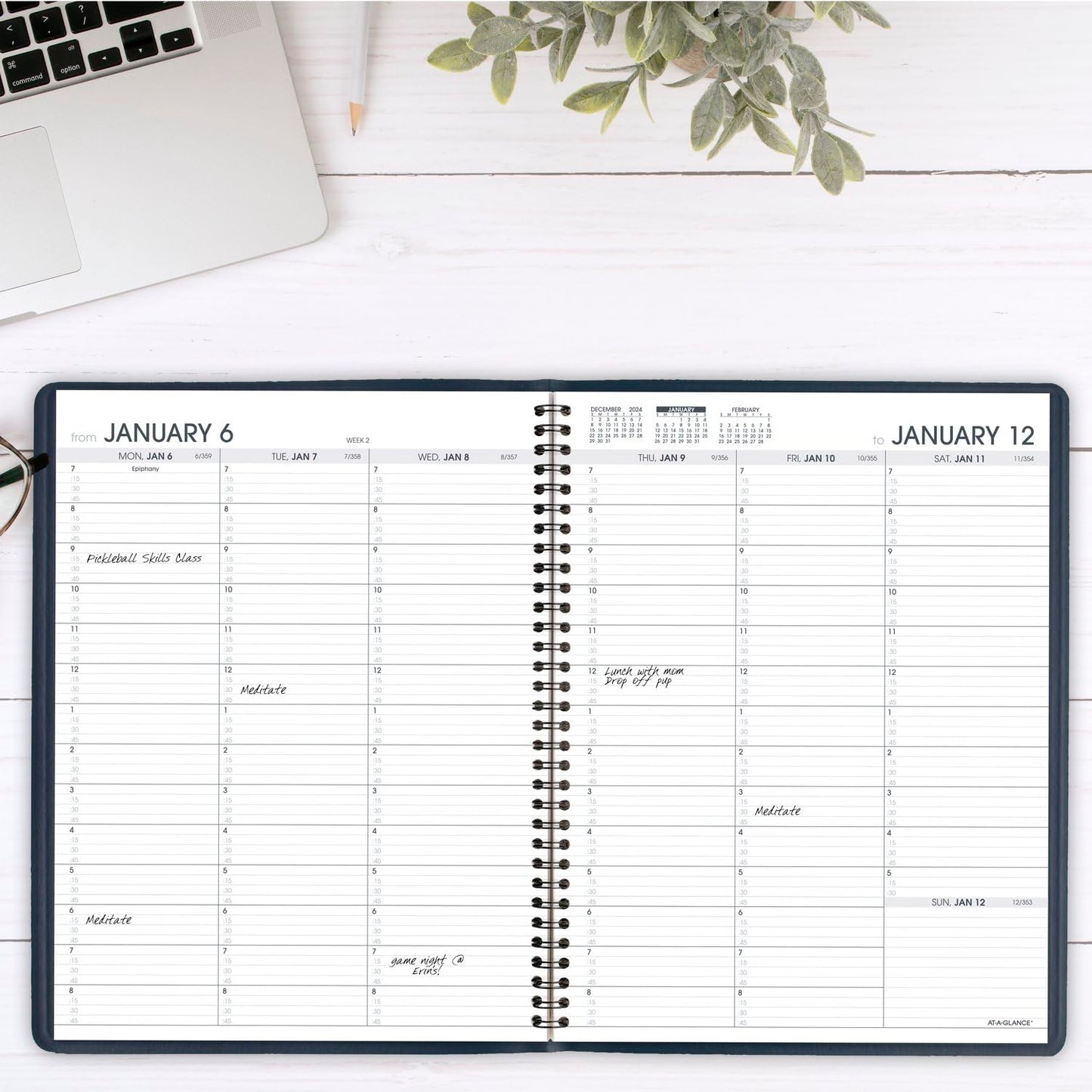 AT-A-GLANCE 2025 Appointment Book Planner, Weekly, 8-1/4" x 11", Large, Quarter-Hourly, Navy (709502025)