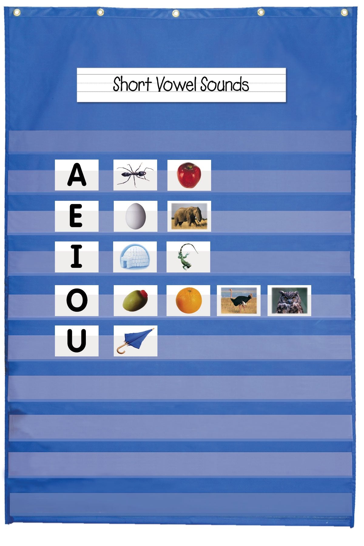 Carson-Dellosa Publishing CD-5601 Original Pocket Chart, 31" x 42", 10 Rows of Pockets, Blue
