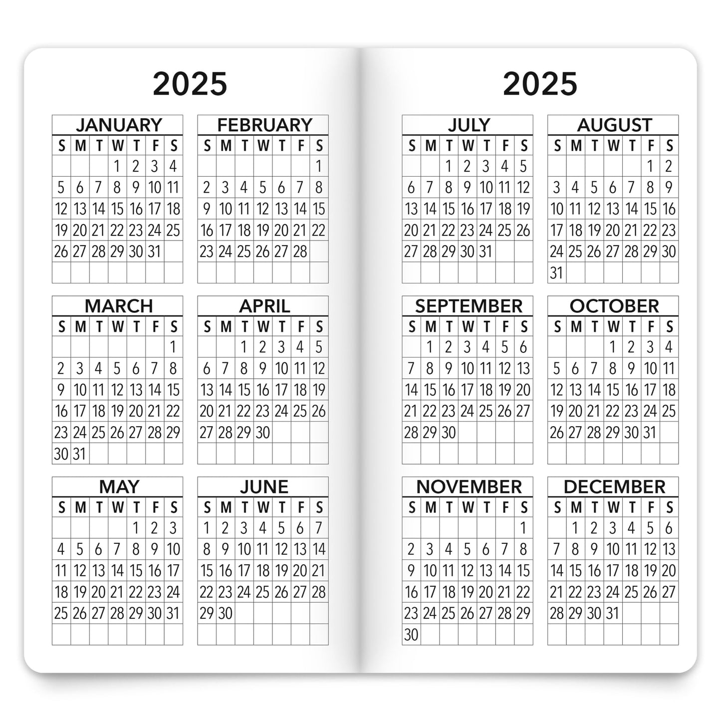 Brown Trout 2-Year Large Print Monthly Pocket Planner, 3-1/2" x 6-1/2", Big and Bright, January 2024 to December 2025