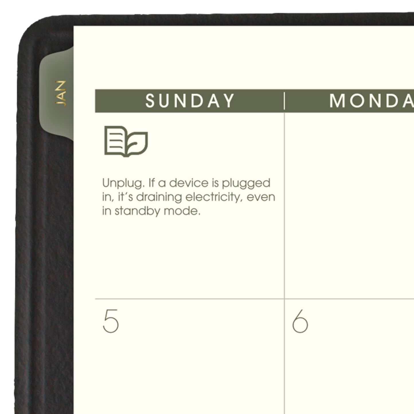AT-A-GLANCE 2025 Planner, Monthly, 9" x 11", Large, Recycled, Black (70260G0525)