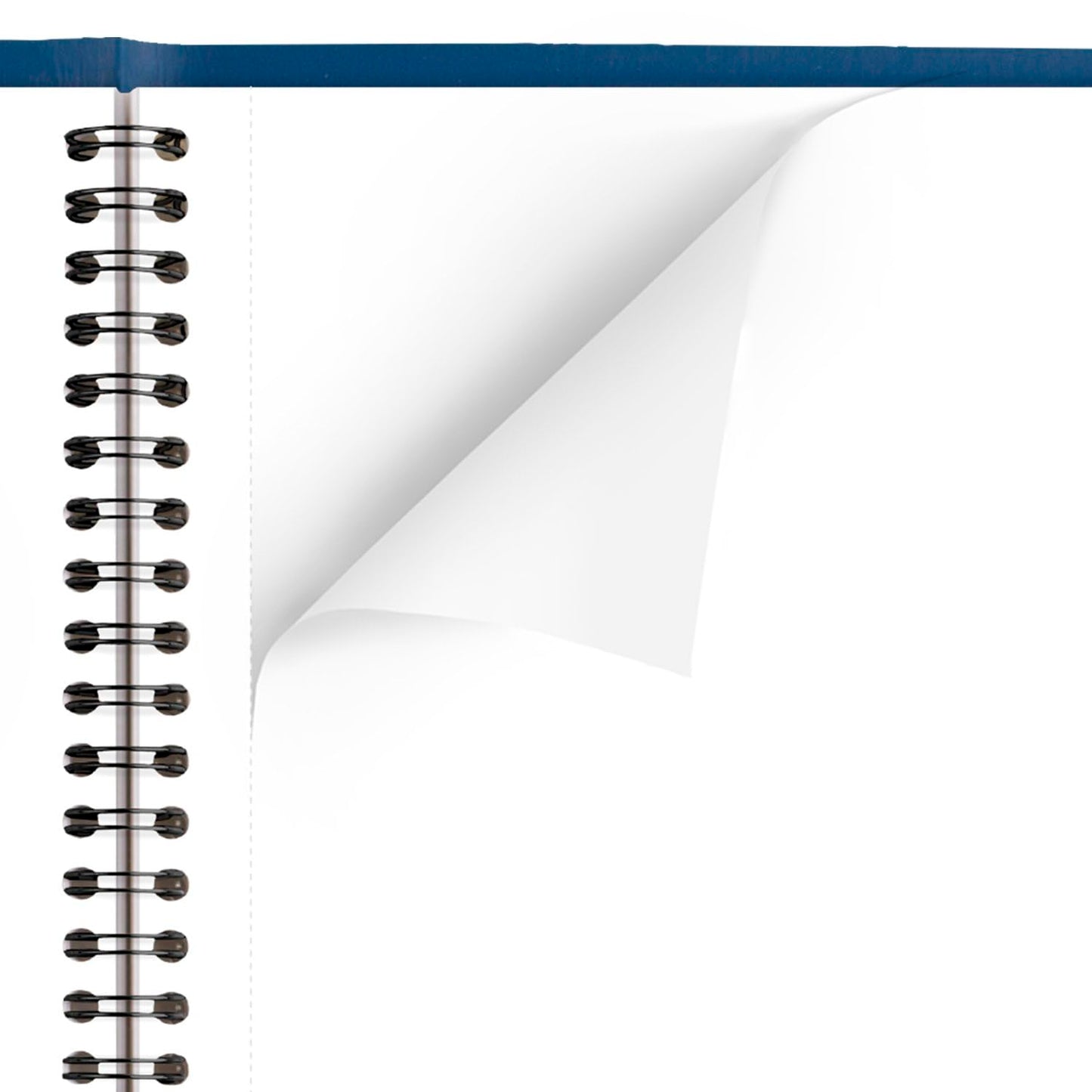 AT-A-GLANCE 2025 Planner, Monthly, 7" x 8-3/4", Medium, Fashion, Blue (701242025)