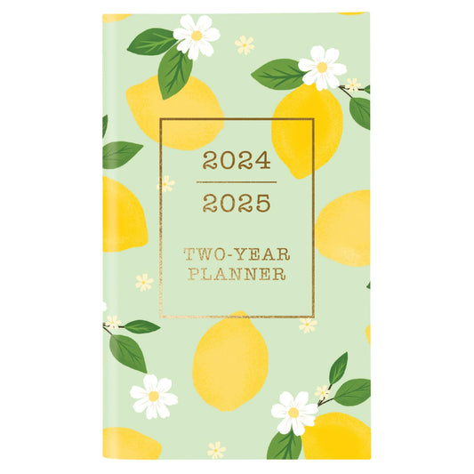 2023-2025 Graphique 29-Month Monthly Pocket Planner, 4" x 6", Oh So Chic, August 2023 to December 2025, 2Y02024 D