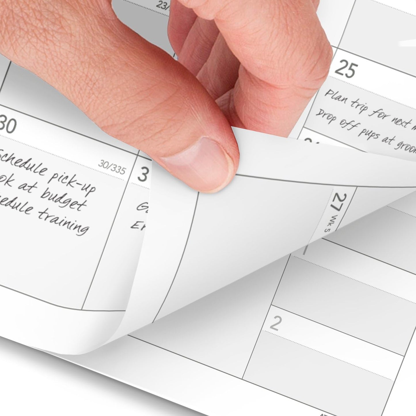 AT-A-GLANCE 2025 Planner Refill, Monthly, 3-3/4" x 6-3/4", Portable Size 3, Loose-Leaf (063-685Y)