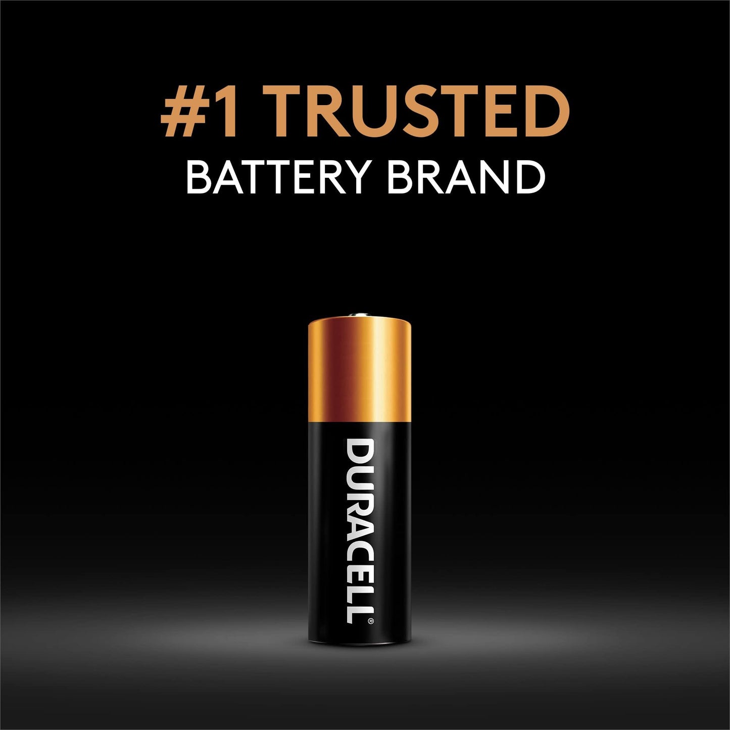 Duracell 21/23-12V Alkaline-Battery, 2 Count Pack, 21/23 12 Volt Alkaline-Battery, Long-Lasting for Key Fobs,-Car Alarms, GPS Trackers, and More