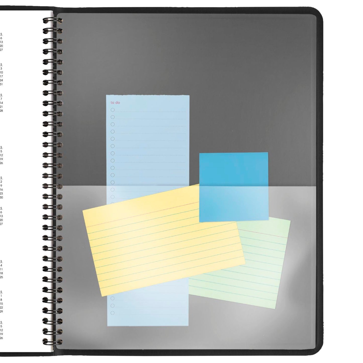 AT-A-GLANCE 2025 Appointment Book Planner, Daily, Two Person Group Planner, 8" x 11", Large, Quarter-Hourly, Black (702220525)