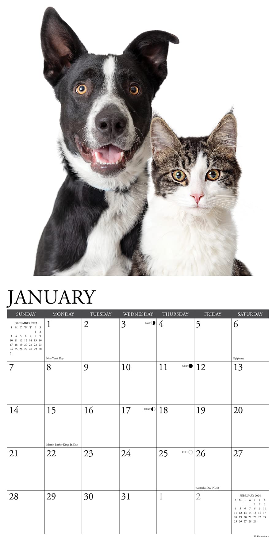 Willow Creek Press Cats & Dogs Monthly 2024 Wall Calendar (12" x 12")