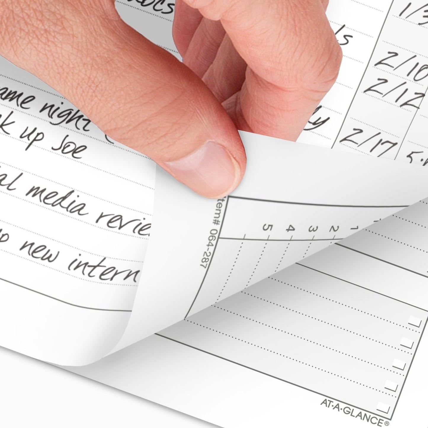 AT-A-GLANCE 2025 Planner Refill, Weekly, 3-1/4" x 6-1/2", Portable Size 2 (064-287-25)