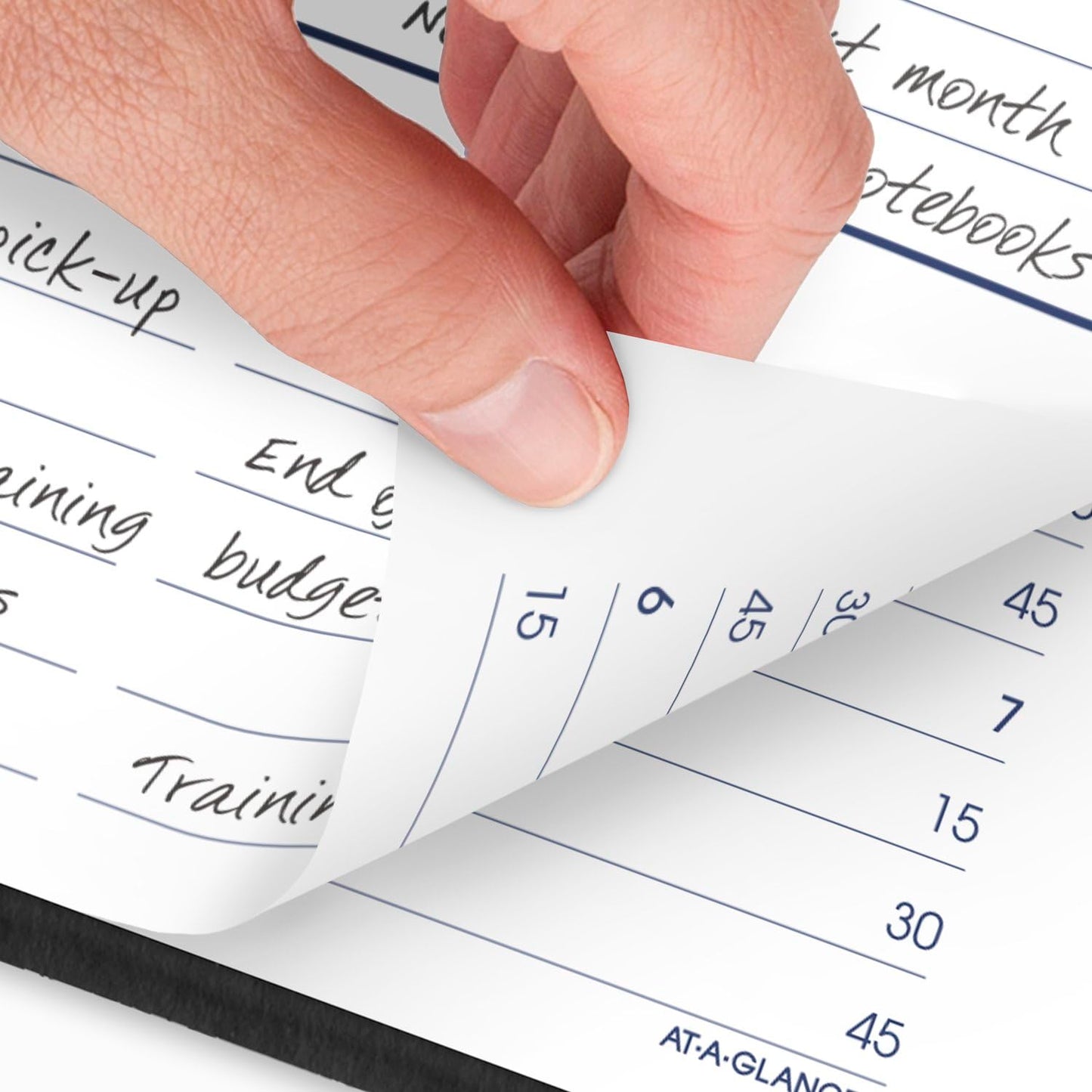 AT-A-GLANCE 2025 Appointment Book Planner, Daily, 5" x 8", Small, Quarter-Hourly, DayMinder, Black (G1000025)