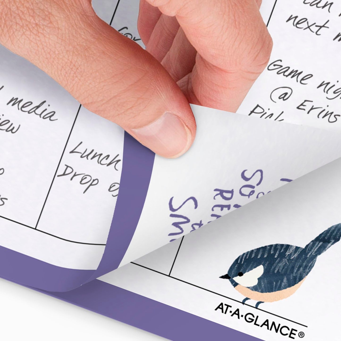 AT-A-GLANCE 2025 Planner Refill, Weekly & Monthly, 5-1/2" x 8-1/2", Size 4, Desk Size, 52122 Day-Timer, Kathy Davis (KD81-285Y-25)