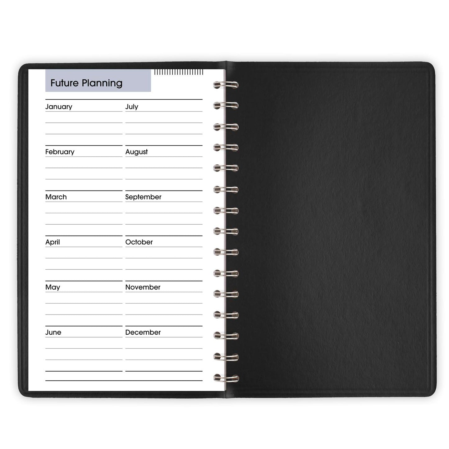 AT-A-GLANCE 2025 Appointment Book Planner, Daily, 5" x 8", Small, Quarter-Hourly, DayMinder, Black (G1000025)