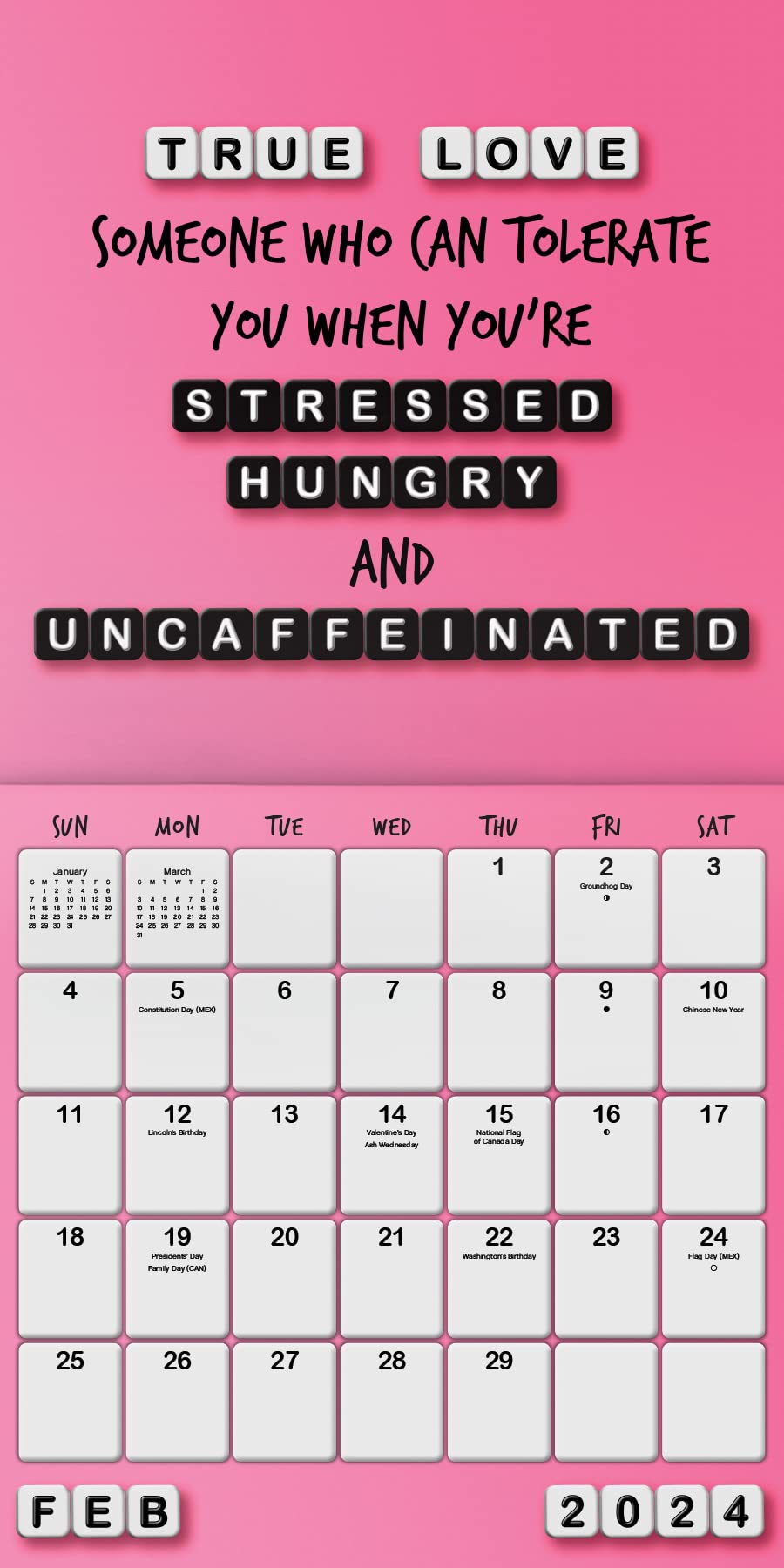 2024 Everyday Sass Wall Calendar