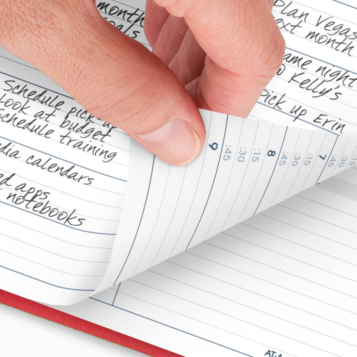AT-A-GLANCE 2025 Appointment Book Planner, Weekly, 8-1/4" x 11", Large, Quarter-Hourly, Red (709401325)