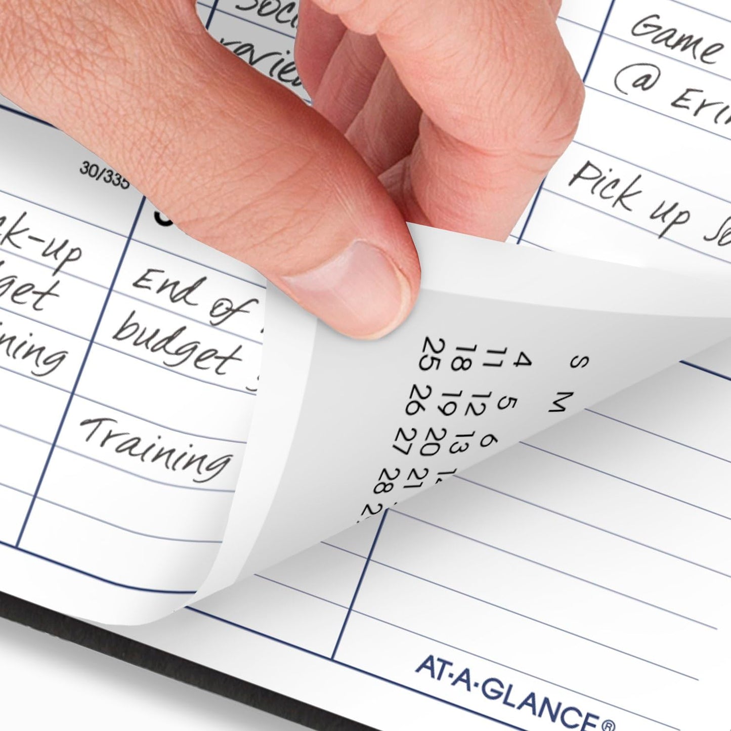 AT-A-GLANCE 2025 Planner, Monthly, 8" x 12", Large, DayMinder, Black (SK20025)