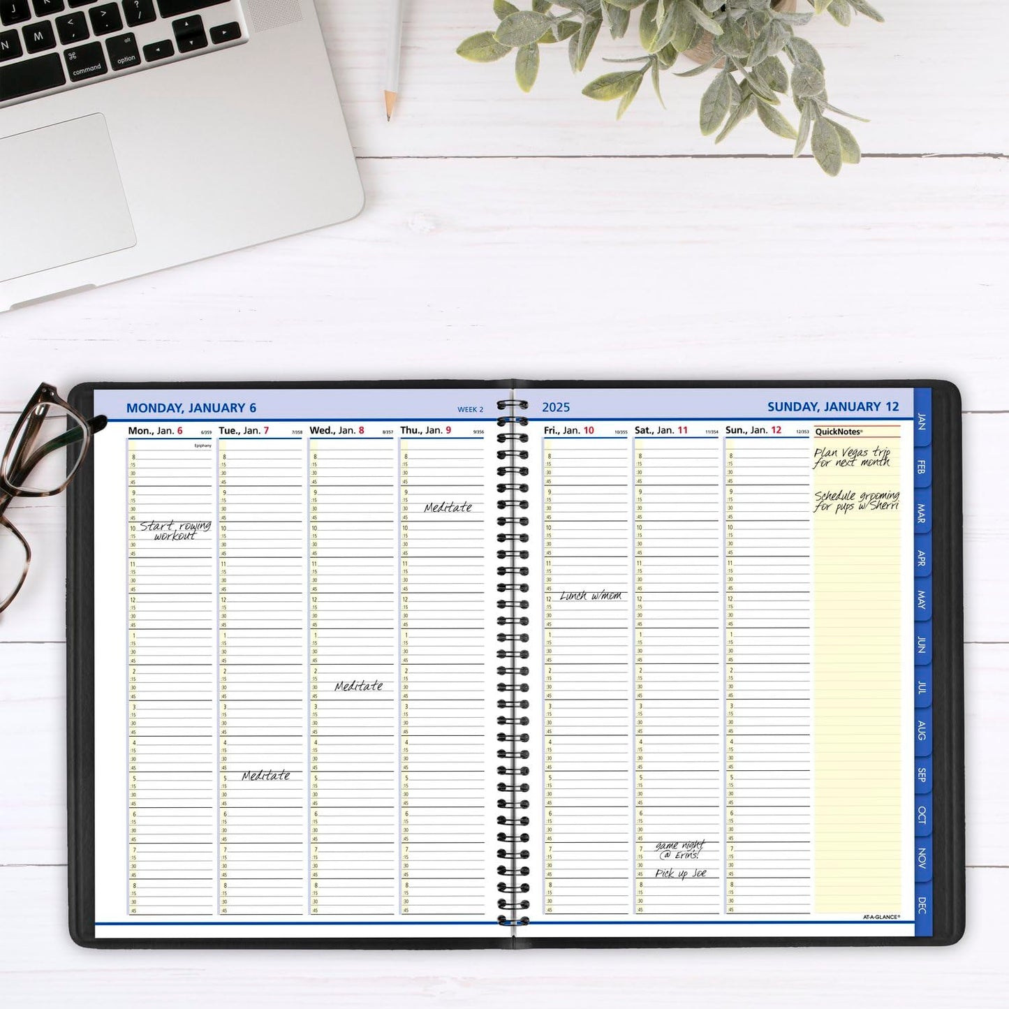 AT-A-GLANCE 2025 Appointment Book Planner, Weekly & Monthly, 8-1/4" x 11", Large, Quarter-Hourly, QuickNotes Black (769500525)