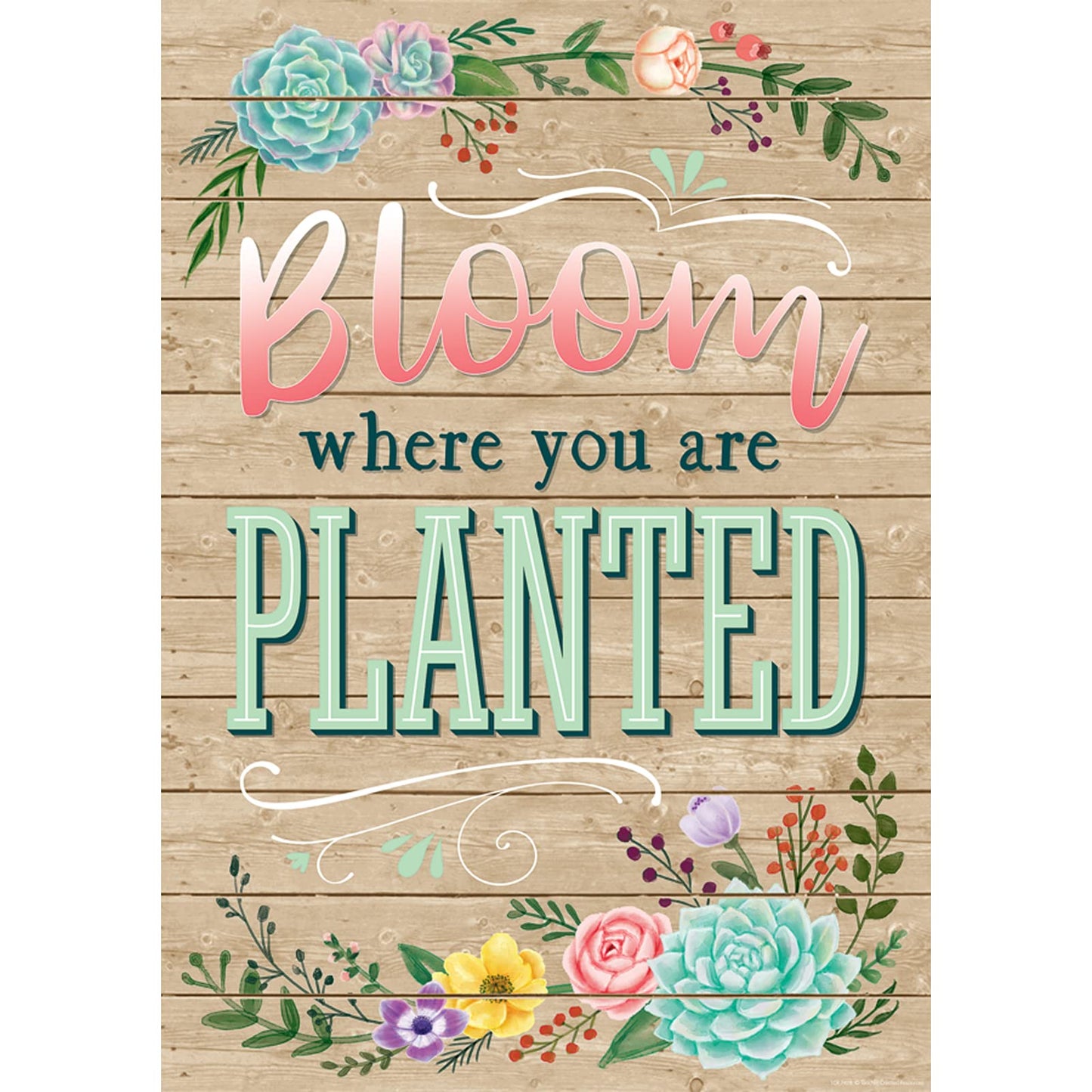 Teacher Created Resources 7428 Bloom Where You are Planted Positive Poster