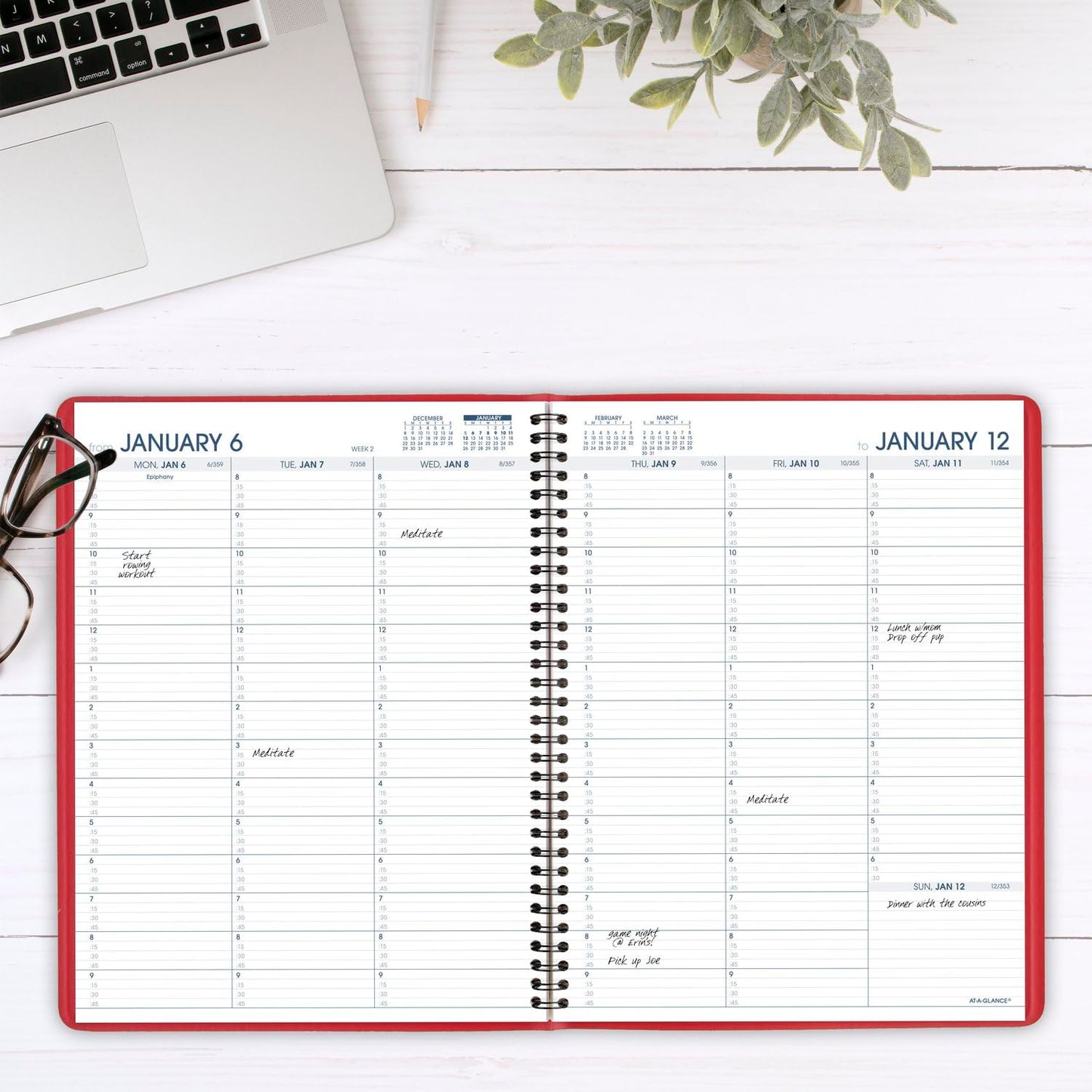 AT-A-GLANCE 2025 Appointment Book Planner, Weekly, 8-1/4" x 11", Large, Quarter-Hourly, Red (709401325)