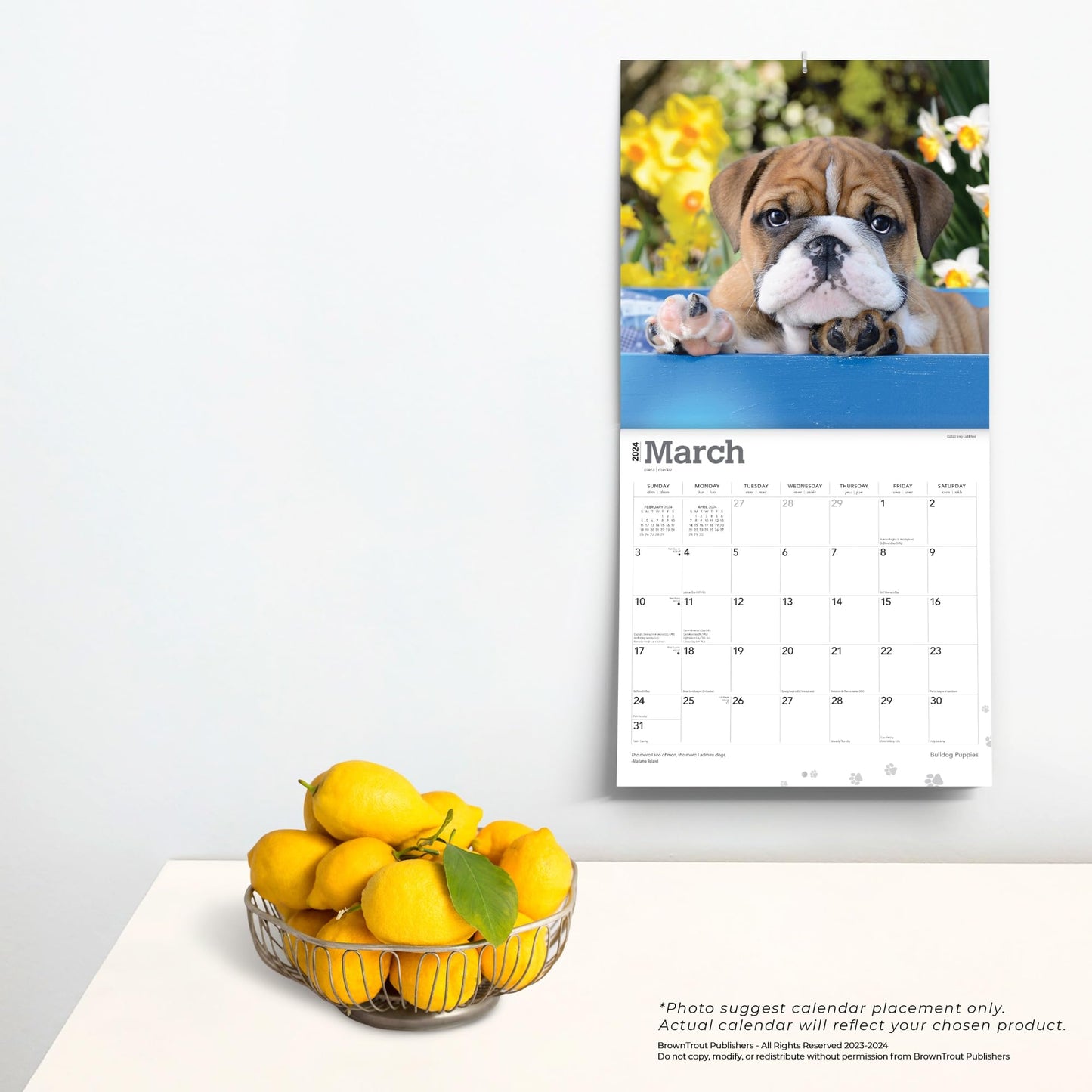 2024 Brown Trout Monthly Square Wall Calendar, 12" x 24", Bulldog Puppies, January To December 2024