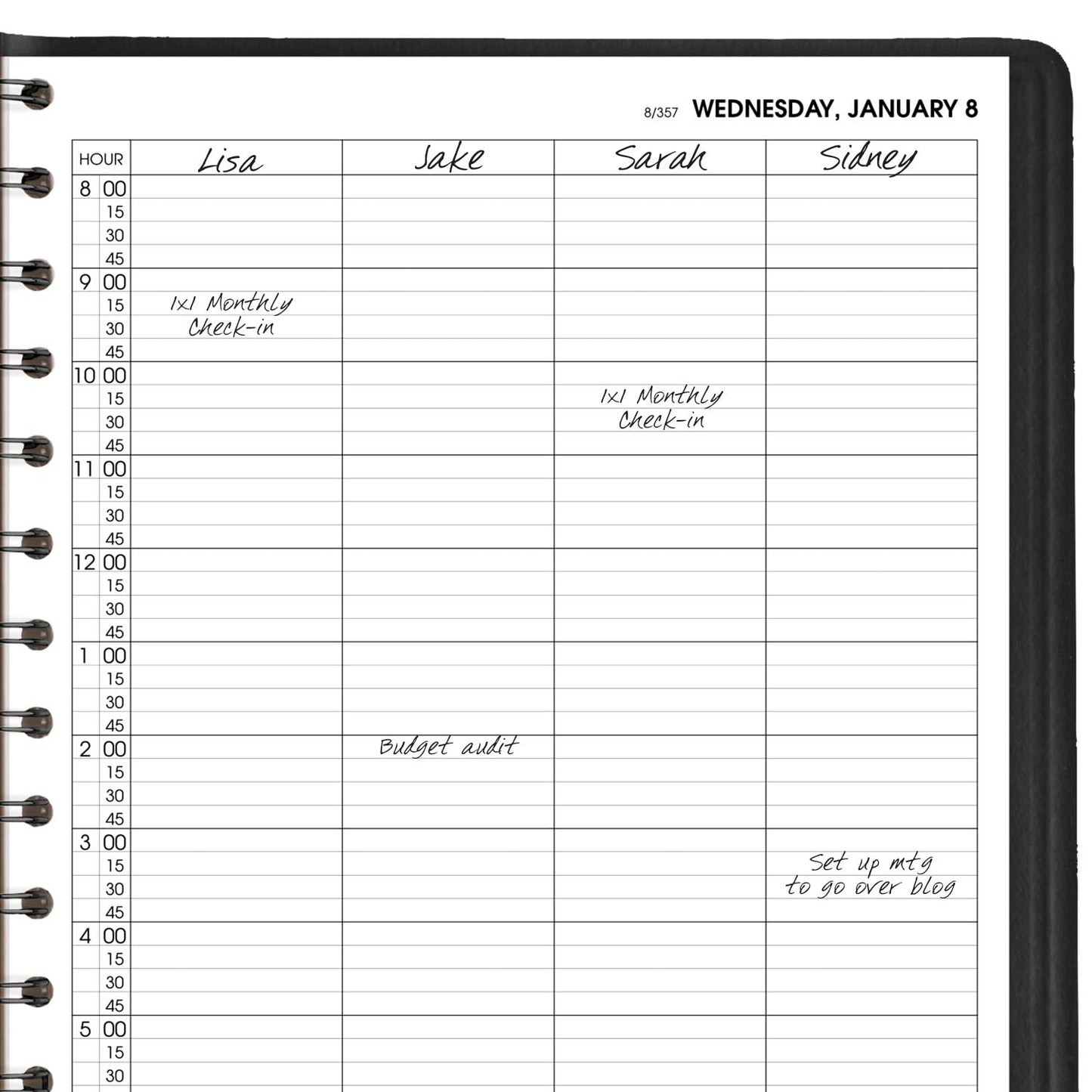 AT-A-GLANCE 2025 Appointment Book Planner, Daily, Four Person Group Planner, 8" x 11", Large, Quarter-Hourly, Black (708220525)