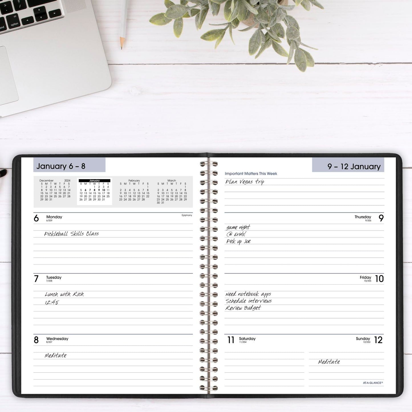 AT-A-GLANCE 2025 Planner, Weekly & Monthly, 7" x 8-3/4", Medium, Executive, DayMinder, Black (G5460025)