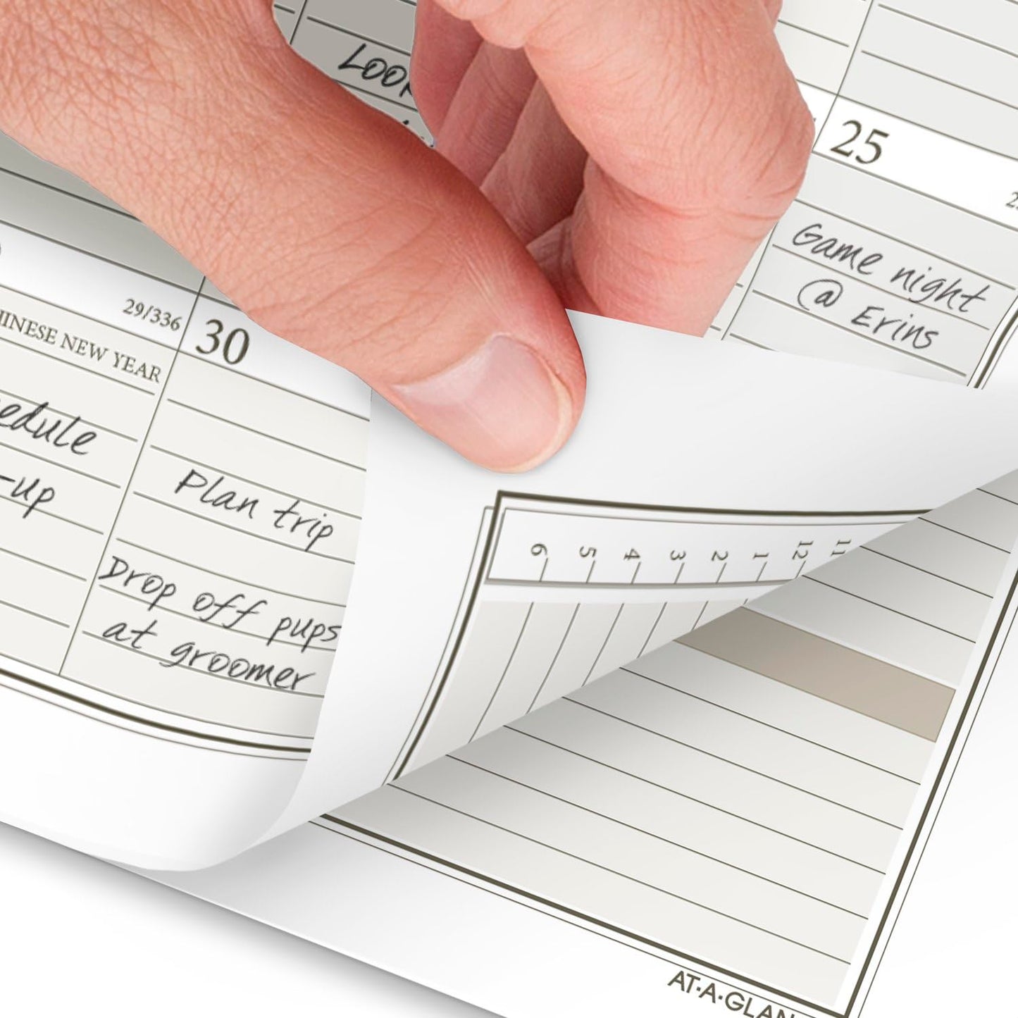 AT-A-GLANCE 2025 Planner Refill, Weekly & Monthly, 3-3/4" x 6-3/4", Portable Size, Loose-Leaf (471-285Y-25)