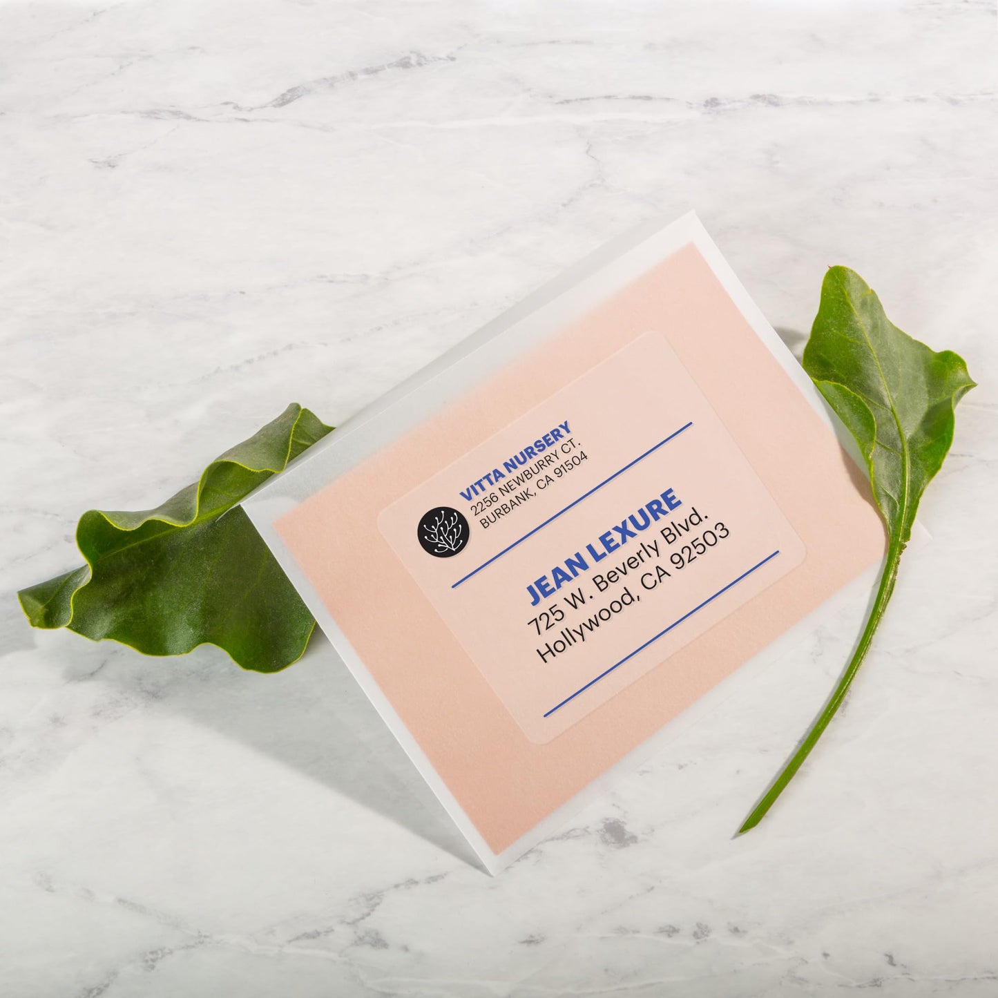 Avery Printable Shipping Labels with Sure Feed, 2" x 4", Matte Clear, 100 Blank Mailing Labels (15663)