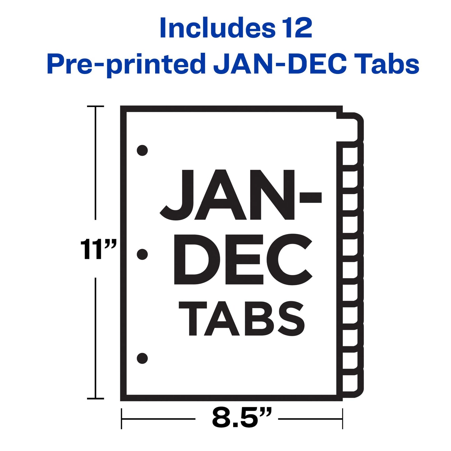 Avery Plastic Jan-Dec Tab Binder Dividers, Pre-Printed Multicolor Tabs, 12-Tab, 24 Packs (11331)