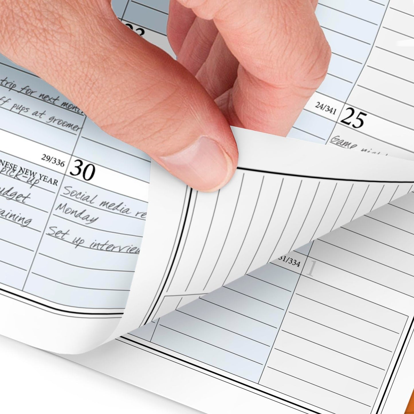 AT-A-GLANCE 2025 Planner Refill, Weekly & Monthly, 5-1/2" x 8-1/2", Desk Size, Loose-Leaf, Zenscapes (281-285Y-25)