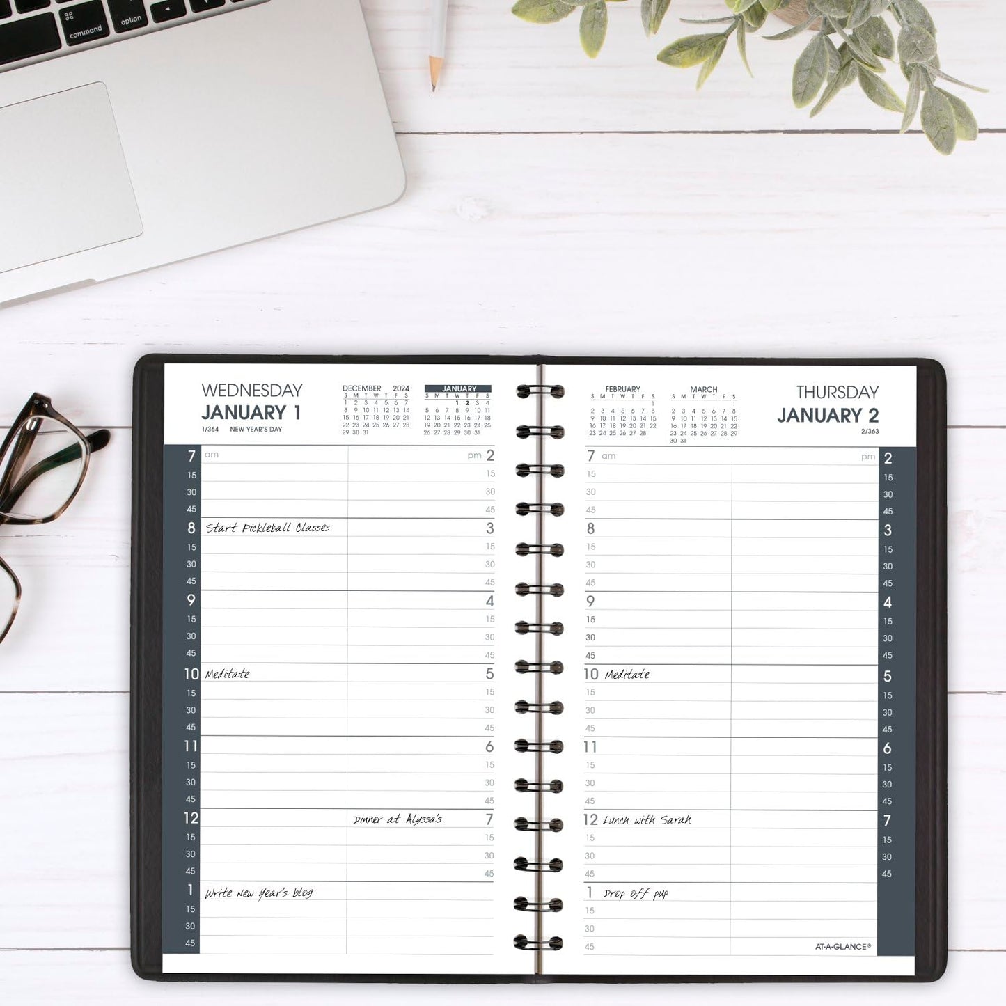 AT-A-GLANCE 2025 Appointment Book Planner, Daily, 5" x 8", Small, Quarter-Hourly, Black (708000525)